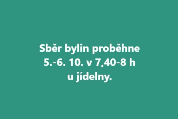 Sběr bylin