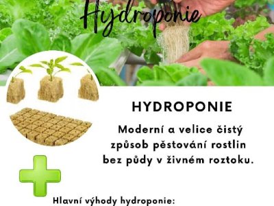 Hydroponie